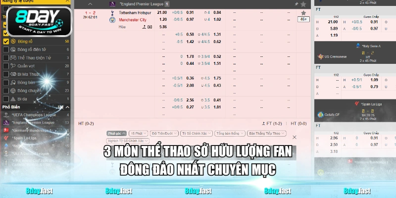 3 môn thể thao sở hữu lượng fan đông đảo nhất chuyên mục