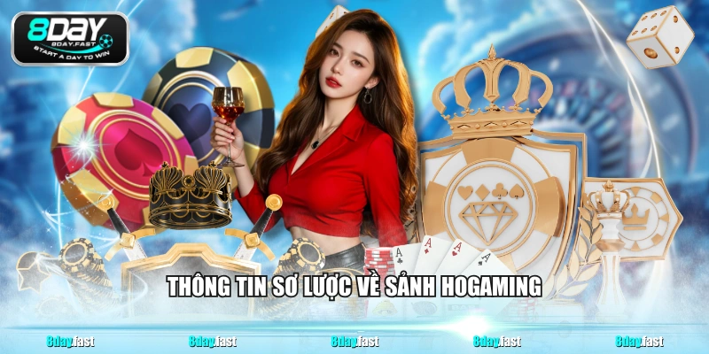 Thông tin sơ lược về sảnh HOGAMING